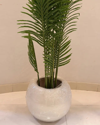 Artificial Areca Palm / Feather Palm in White Round Pot | Indoor Botanical Decor
