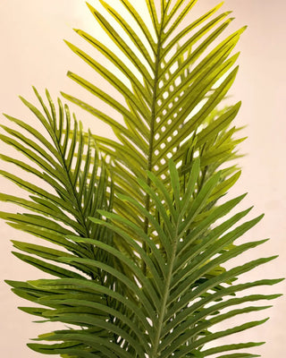 Artificial Areca Palm / Feather Palm in White Round Pot | Indoor Botanical Decor