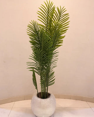 Artificial Areca Palm / Feather Palm in White Round Pot | Indoor Botanical Decor