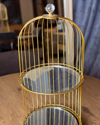 Golden Birdcage Decorative Stand
